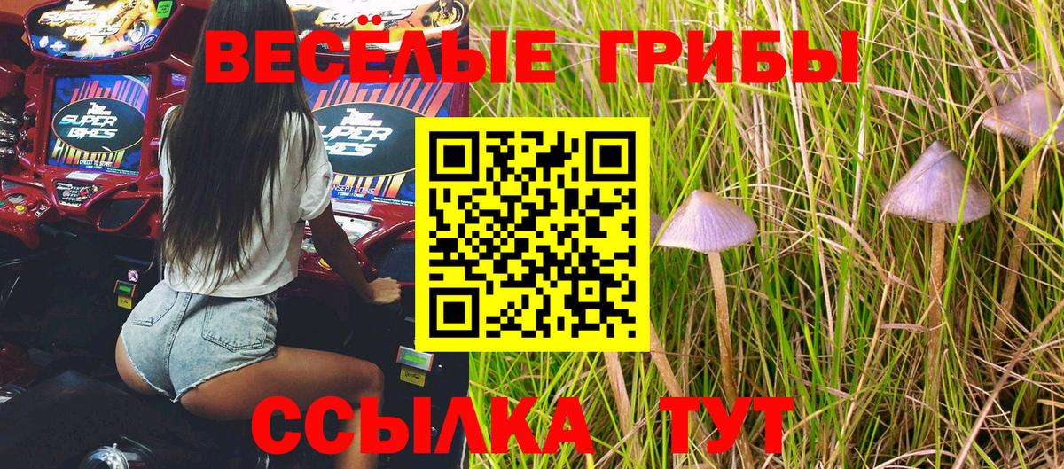 Псилоцибиновые грибы MAGIC MUSHROOMS Клинцы