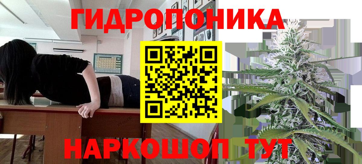 Шишки марихуана планчик Клинцы